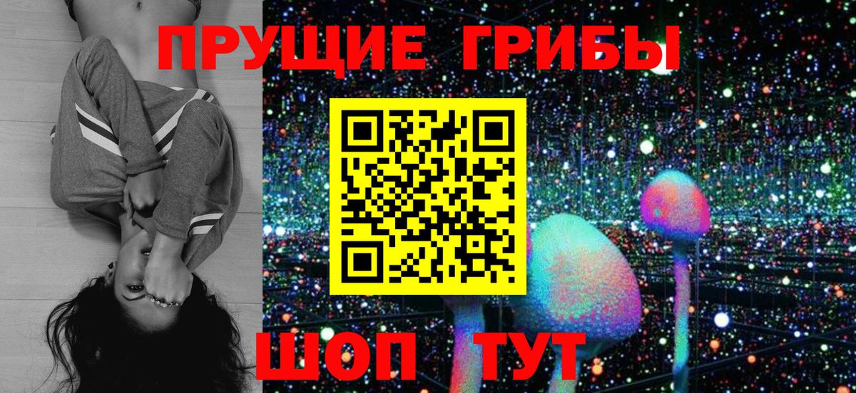 Галлюциногенные грибы мицелий Дальнегорск