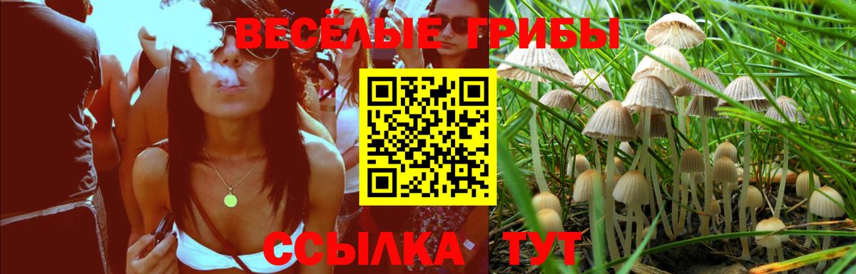 Дальнегорск  где найти наркотики  Псилоцибиновые грибы Cubensis  Вход с VPN  Галлюциногенные грибы GOLDEN TEACHER 